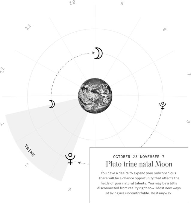 Astrology Star Chart App